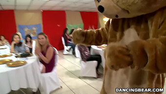 Get Ready To Dance With The Legendary Dancing Bear! (Db9822)